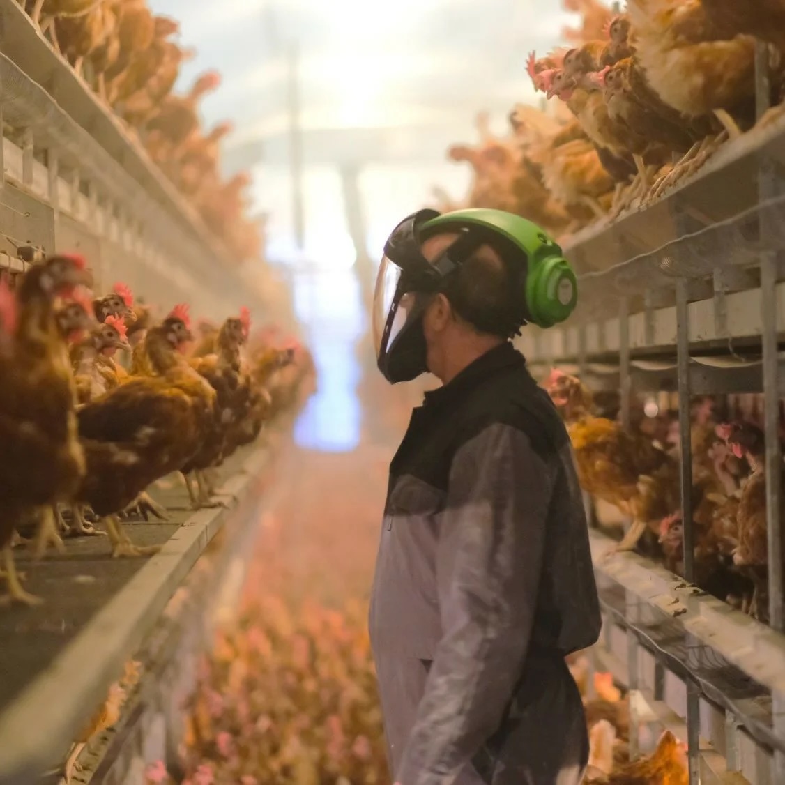 kite fijnstofmaskers